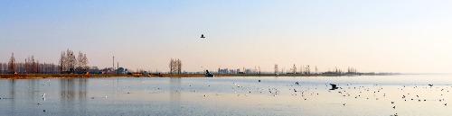 世界自然基金会保护项目涨渡湖湿地