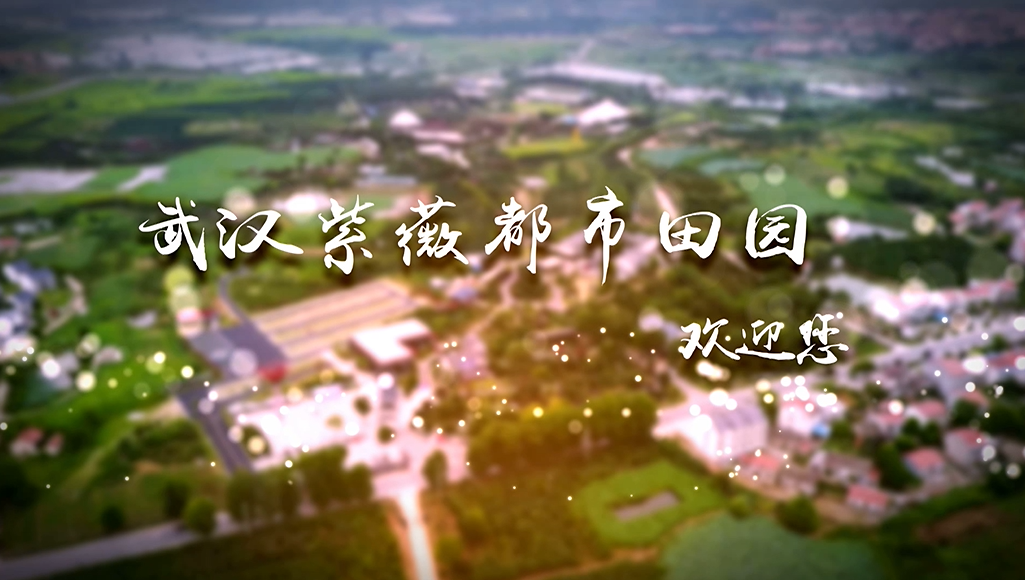 武汉紫薇文旅集团有限公司